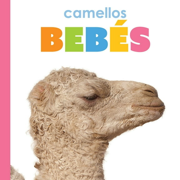 Camellos BebÃ©s, (Paperback)