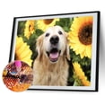 thumbnail image 3 of Cuadros Decorativos 5D DIY Diamante Pintura Girasol Perro Completo Taladro Redondo Mosaico Rhinestone Imagen Ehuebsd Nuevos Originales, 3 of 9