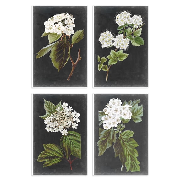 Stupell Industries Shabby Chic Charming Cottage Florals over Charcoal Grey 4pc Wall Plaque Set, 10 x 15 each, by Vision Studio