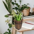 thumbnail image 4 of unbranded 1Pack Succulent Flowerpot Light Brown Barrel Planter For Homeowners, 4 of 6