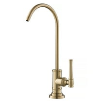 Allyn™ 100% Lead-Free Kitchen Water Filter Faucet in Brushed Gold