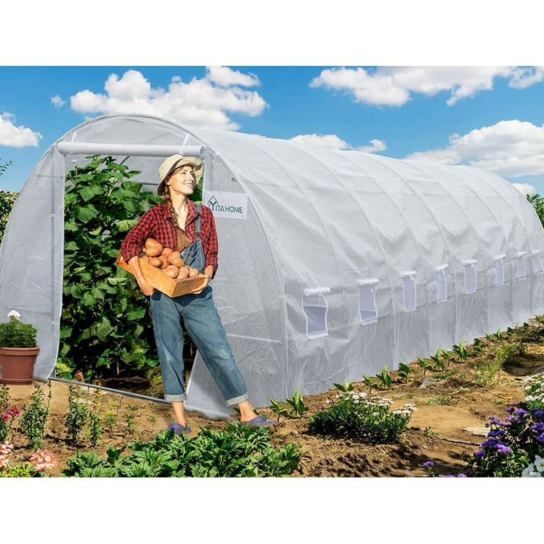 Greenhouse tent online