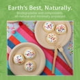 thumbnail image 6 of Ibambo Bamboo Disposable Plates, Compostable Paper Plates, 9-in., 125-Pack, 6 of 9