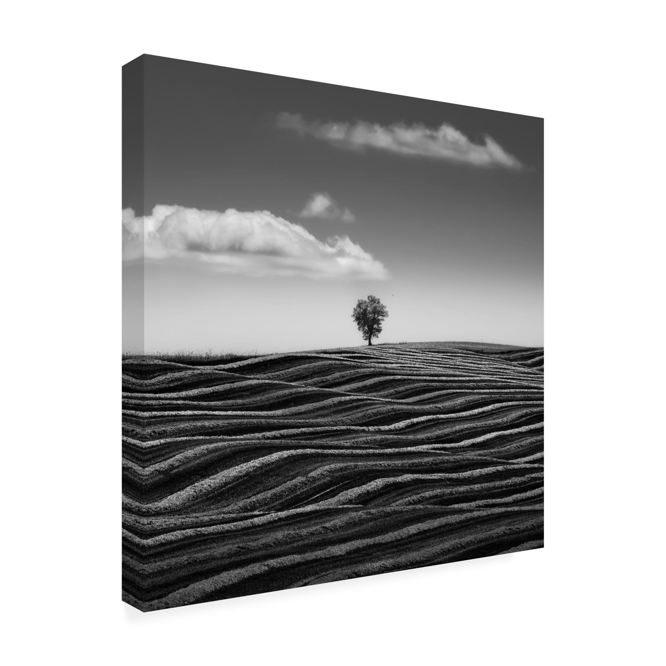 Canvas Wall Art - Thomas De Franzoni 'Empire Of Loneliness' Wall Art for Living Room, Bedroom, or Office D?cor by Trademark Fine Art - 18 x 18 Inches