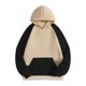 thumbnail image 5 of Ceisia Men's Loose Fit Raglan Sleeve Hoodie Set Color Block Pullover with Elastic Waist Wide Leg Pants Gifts, 5 of 9