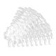 thumbnail image 3 of 2024 200pcs False Nail Tips Transparent Nail Art Color Style Display Tips Nail Art Supplies, 3 of 5