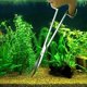 thumbnail image 5 of Tijeras para acuario, tijeras profesionales de acero inoxidable para el cuidado de plantas acuáticas, diseño ergonómico con agarre cómodo y revestimiento antioxidante para acuarios de agua dulce y, 5 of 8