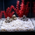 thumbnail image 6 of Fufafayo Aquarium Glow Stones Shells Decor, 50 Pieces Glow In The Dark Fish Tank Ornaments, Fluorescent Seashells Conch for Freshwater Saltwater Tank, Glowing Pebbles for Betta Tank Decoration, 6 of 6