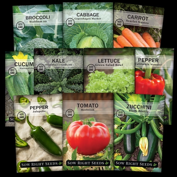 Classic Vegetable Garden Seed Collection for Planting - Non GMO Heirloom Varieties - Plant a Reliable and Productive Vegetable Garden - 10 Count