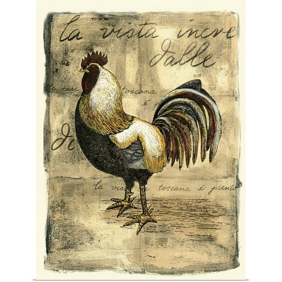 Great BIG Canvas | Rolled D. Bookman Poster Print entitled Tuscany Rooster II
