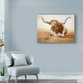 thumbnail image 3 of Kathy Winkler 'Easy Rider Cows' Canvas Art, 3 of 4