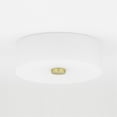 thumbnail image 6 of Mitzi H146502 Sophie 2 Light 12" Wide Flush Mount Ceiling Fixture - Nickel, 6 of 10
