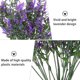 thumbnail image 5 of LOLIPPYY 8Ud Flores Artificiales Lavanda Para De Y Hogar Sin Mantenimiento, 5 of 6