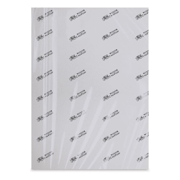 Winsor & Newton Professional Watercolor Paper - 22" x 30", Rough Press, 140 lb