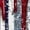Light Gray, variant on LWavelet Fourth of July Shirts for Women 3/4 Length Sleeve Tops Round Crew Casual Patriotic Fireworks USA Flag Tee Red M