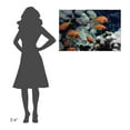 thumbnail image 3 of Global Gallery Flip Nicklin,'Anthias near Sinai, Red Sea' Stretched Canvas Artwork, 3 of 3