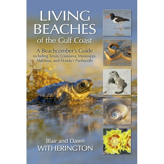 Living Beaches of the Gulf Coast : A Beachcombers Guide including Texas, Louisiana, Mississippi, Alabama and Florida's Panhandle (Paperback)