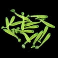 thumbnail image 3 of 16PCS Señuelos de Plástico Blandos Macarena T-Tail Grub Worm Amarillo, 3 of 7