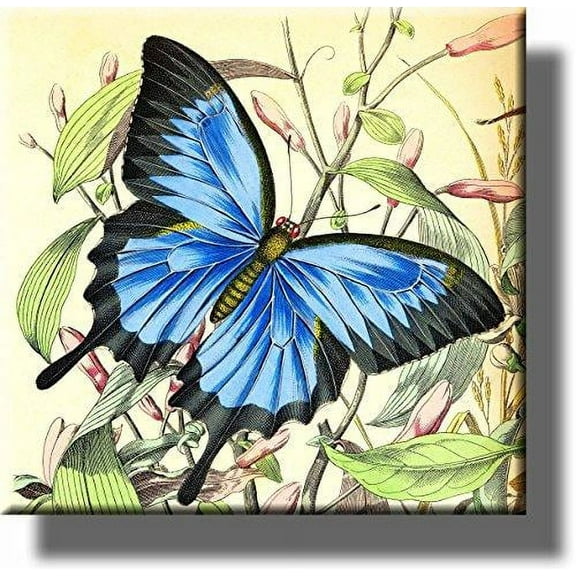 Beautiful Blue Black Butterfly Picture on Stretched Canvas, Wall Art Décor, Ready to Hang!