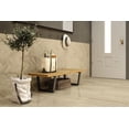 thumbnail image 4 of Bedrosians Classic 2.0 Rectangle Matte Porcelain Tile 12 x 24, Bianco Carrara (15.75 sq. ft./Case), 4 of 5