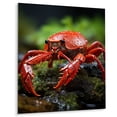 thumbnail image 2 of Designart "Dweller of the Crayfish Creek" Crayfish Metal Wall Art, 2 of 5