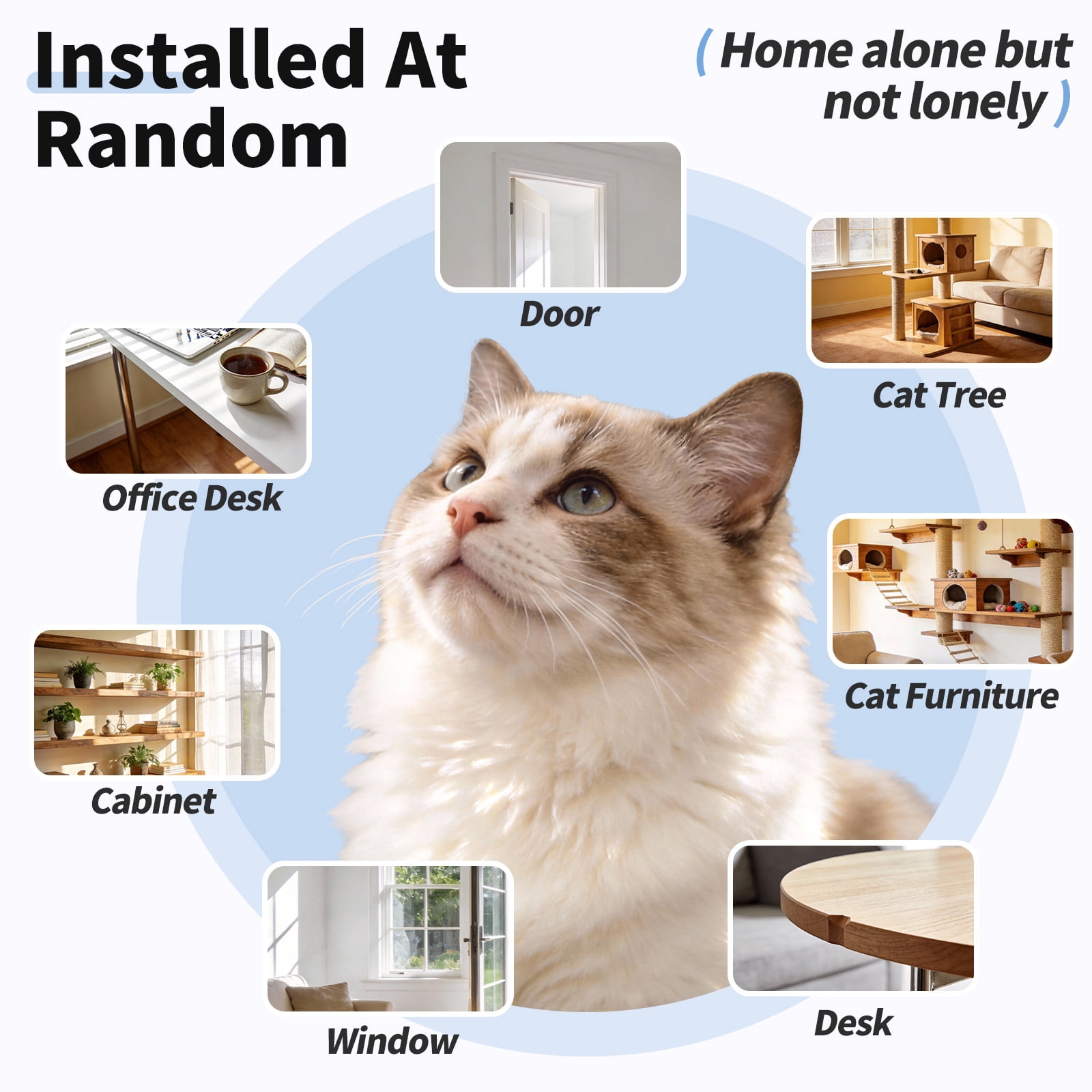 Gmdisc Interactive Cat Toys for Indoor Cats, 2 in 1 Automatic Electric Cat Toy, USB Rechargeable Self Play Toy for Cats and Kittens