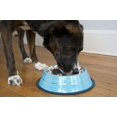 thumbnail image 5 of 2-Pack Color Splash Stripe Non-Skid Pet Bowl, For Dog or Cat, Blue, 96 Oz, 12 Cup, 5 of 8