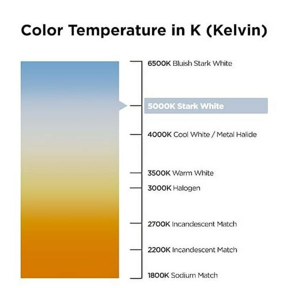 LEDVANCE FO32/850/ECO (12 Pack) - 32 Watt T8 Fluorescent Tube Light Bulb F32T8 32W 5000K