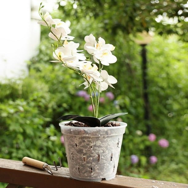 Acrux7 Paquete De 10 Macetas De Orquídeas De 5.5 Pulgadas Con Agujeros Y Platillos, Macetas De Plástico Transparente Para Orquídeas, Macetas Transpirables Para Interiores Y Exteriores