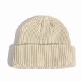 thumbnail image 1 of Bonnet Hip Hop Mode Chapeau Tricoté Hommes Femmes Hiver Chaud Bord Sans Manchette Couple Sport de Rue Bonnets B, 1 of 5