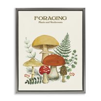 Stupell Industries Vintage Foraging Mushrooms Botanical & Floral Painting Gray Floater Framed Art Print Wall Art, 25 x 31