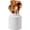 white, variant on 7 Inch Ceramic Utensil Holder for Kitchen Counter, White Ribbed Ceramic Storage Container, Round Kitchen Organizer for Spoons, Cooking Tools