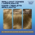 thumbnail image 4 of Clairol Nice'n Easy Permanent Hair Dye, 4 of 9