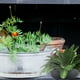 thumbnail image 3 of 4 unids macetas de plástico jardinería contenedores de flores plantas macetas plástico plástico, 3 of 6