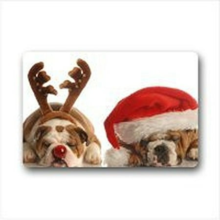 WinHome Lovely English Bulldog Doormat Floor Mats Rugs Outdoors/Indoor Doormat Size 23.6x15.7 inches