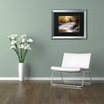 thumbnail image 4 of Trademark Fine Art "Avon Falls" Canvas Art by Jason Shaffer, Black Matte, Silver Frame, 4 of 4