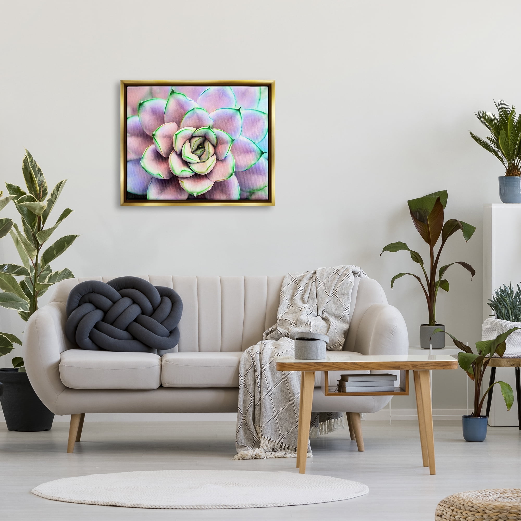 Stupell Industries Purple & Green Succulent Petals Botanical & Floral Photography Gold Floater Framed Art Print Wall Art