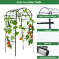 thumbnail image 3 of Soporte metálico para trepar Garden Arch Trellis Lalahoni, 203 cm, 3 of 6