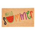 thumbnail image 2 of 24"x16" - Coir Door Mat with Heavy Duty Backing - Welcome Mats for Entryway, Porch - Anti-Slip PVC & Coconut Fiber Surface - Natural Home Accessories, Minimalist Original Design,Summer Theme, 2 of 5