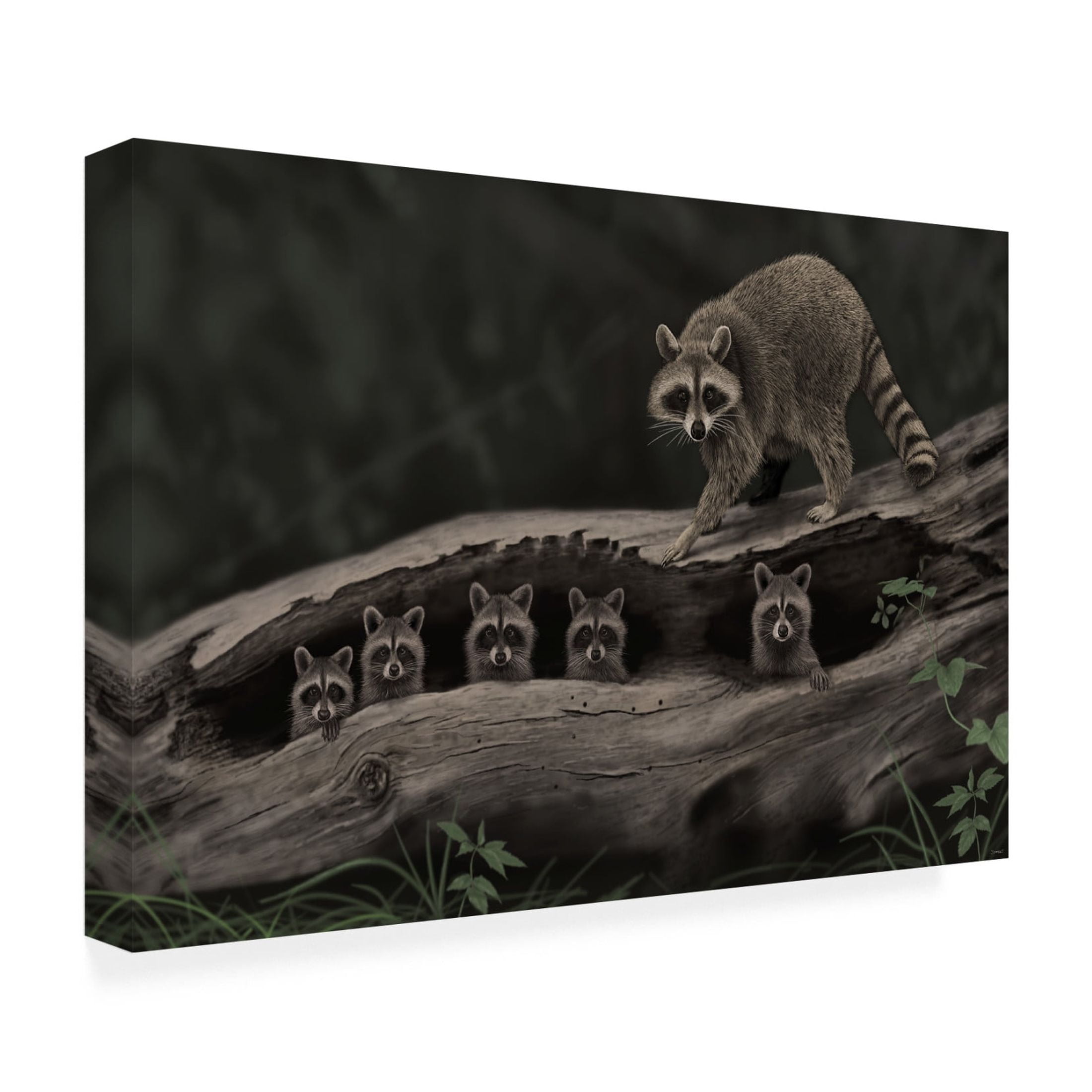 Canvas Wall Art - Gordon Semmens 'Driftwood Bandits' Wall Art for Living Room, Bedroom, or Office Décor by Trademark Fine Art - 24 x 16 Inches