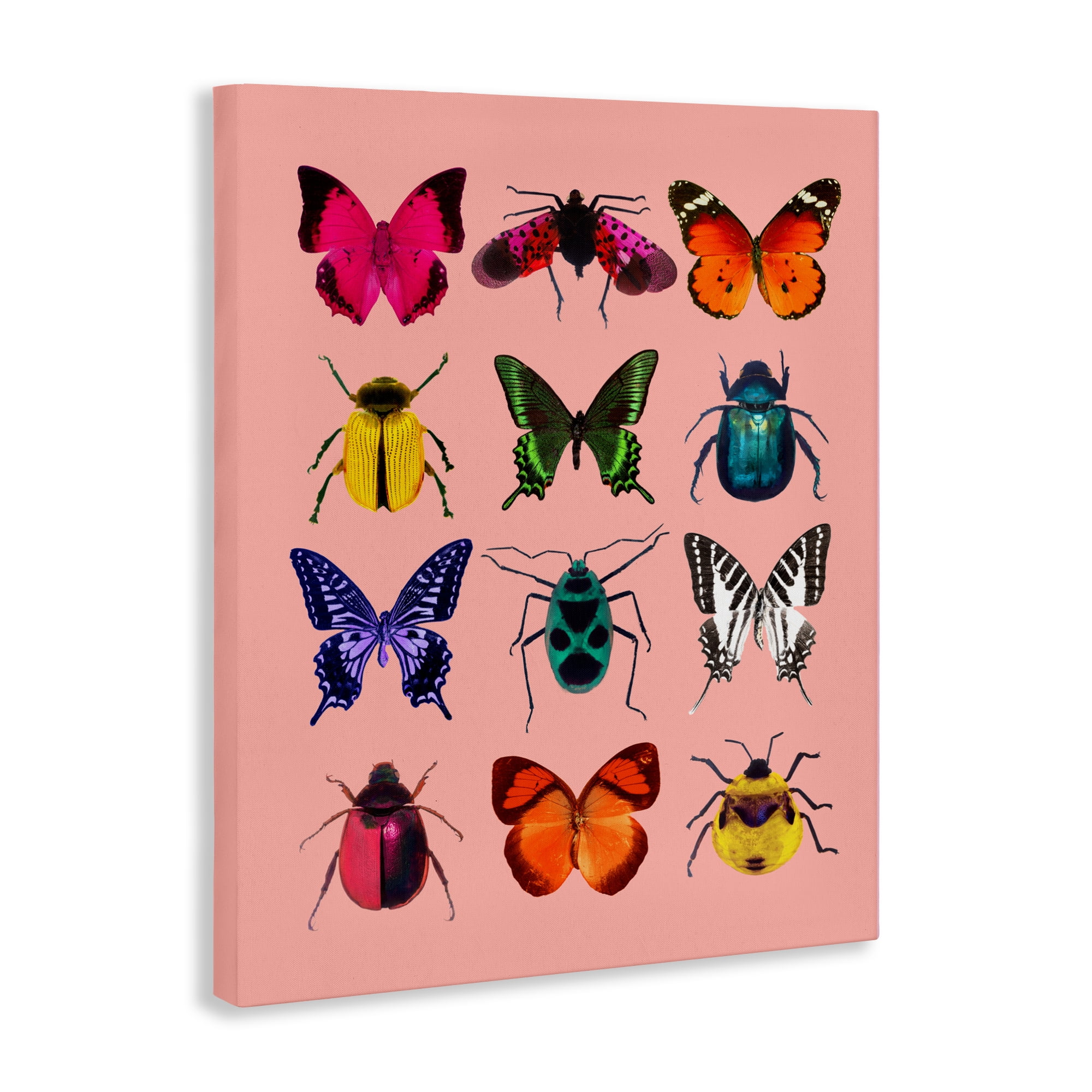 Colorful Bug Species on Pink Canvas Wall Art, design by LISH Creative