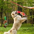 thumbnail image 3 of Juguetes Interactivos de Varita para Perros Yuyangstore Retráctil, 3 of 8