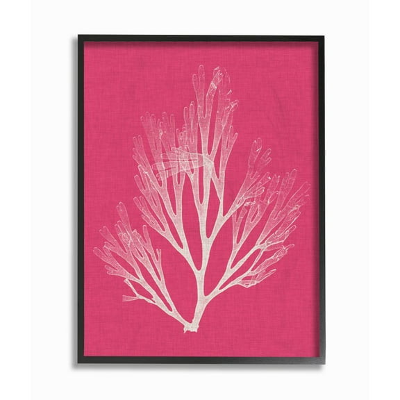 Stupell Industries Coral Seaweed Magenta White Beach Design Framed Wall Art by Vision Studio