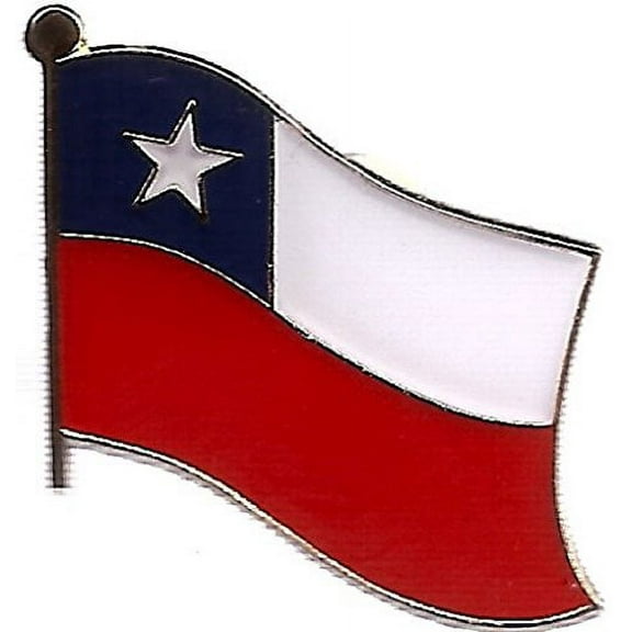 Box of 12 Texas Single Flag Lapel Pins, Texan Single Flag Pin Badges