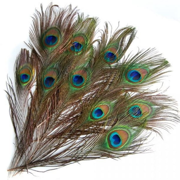 2x 10x Plumas de Del Ojo DIY Artesanías de Moda Sombrero 9-13 Pulgadas