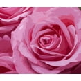 thumbnail image 1 of Rose Rose - Peinture Diamant DIY, 1 of 6