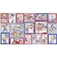 thumbnail image 3 of Loralie Designs US Fabric Panel for Quilting, 3 of 3