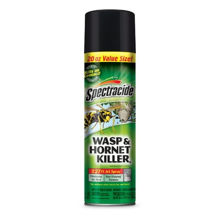 Spectracide Wasp & Hornet Killer, Aerosol, 20-oz (Best Time To Kill A Wasp Nest)