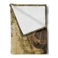 thumbnail image 2 of World Map Soft Flannel Fleece Throw Blanket, Old Chart Cartography Showing Ocean Compass Location Retro Journey, Cozy Plush for Indoor and Outdoor Use, 70" x 90", Sand Brown Olive Green, by Ambesonne, 2 of 5