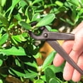 thumbnail image 4 of BambooMN Bonsai Basics Set - 8" Concave Cutter, 7" Heavy Duty Shear - 1 Set 1 Concave Cutter & Heavy Duty Shear Set, 4 of 8